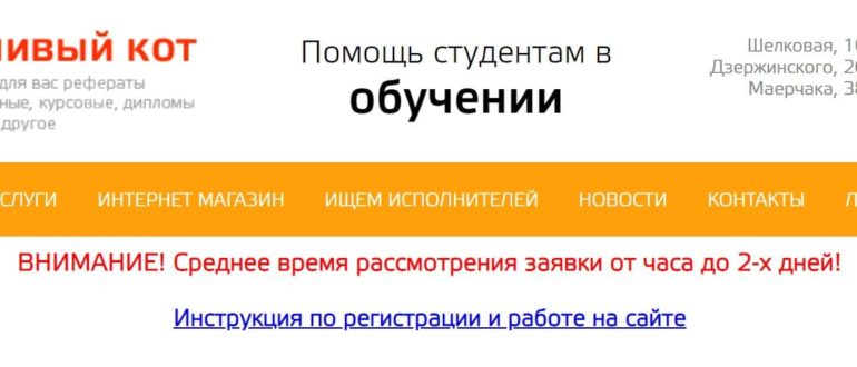 Ленивый Кот личный кабинет