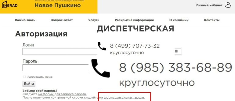 Новое Пушкино личный кабинет