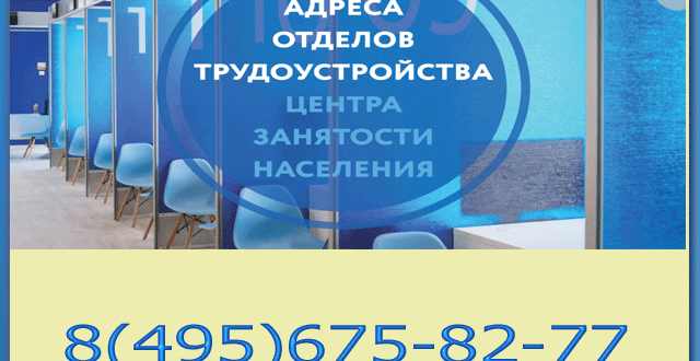 ЦЗН личный кабинет