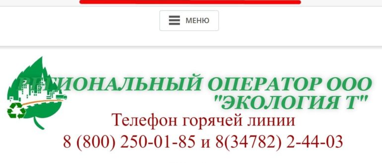 Сайт Экология Т в Туймазы