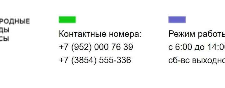 ЛК «Молодежное Движение»