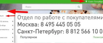 Экомаркет СПБ